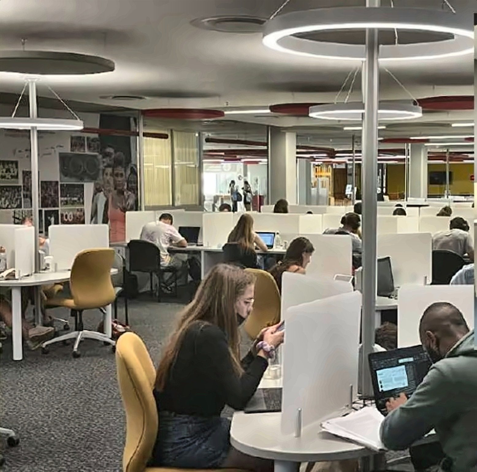 Stellenbosch University